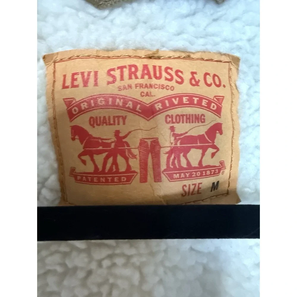 Levis levi canvas